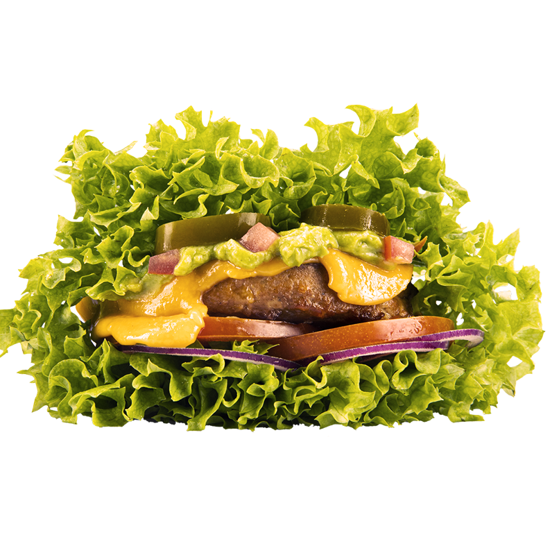 go-protein-style-burger-lettuce-salad